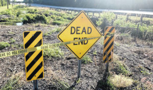 Decomposed body found