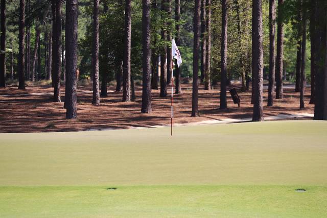 A flagstick on the green at one of the Pinehurst courses.
Neel Madhavan | Daily Journal