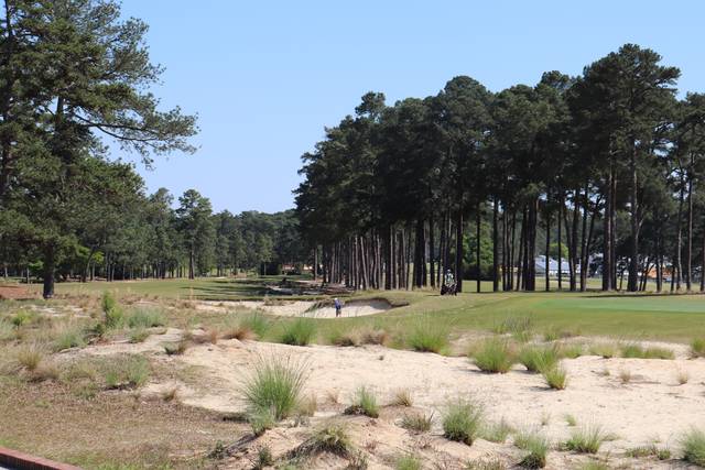 A group plays up to the green at a Pinehurst course.
Neel Madhavan | Daily Journal