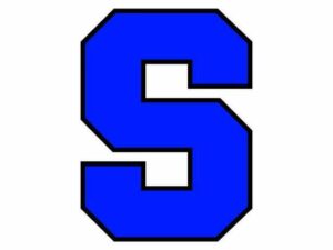 Roundup: Scotland baseball falls against Lee County