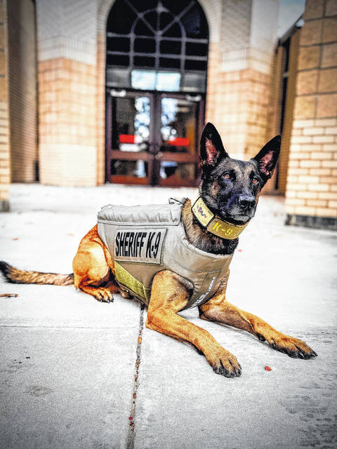131050813_web1_Joker
K9 Joker, of the Scotland County Sheriffs Office, is shown with a new bullet and stab proof vested donated from Vested Interest in K9s, Inc.